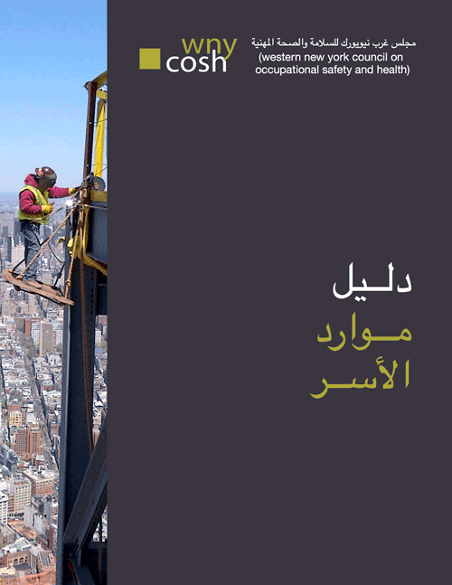 Thumbnail for Family Resource Guide in Arabic