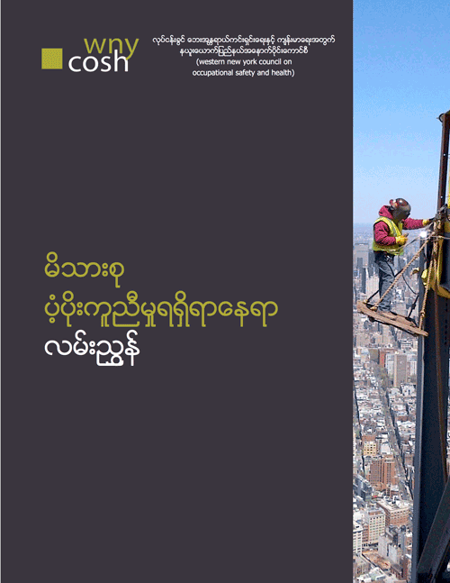 Thumbnail for Family Resource Guide in Burmese