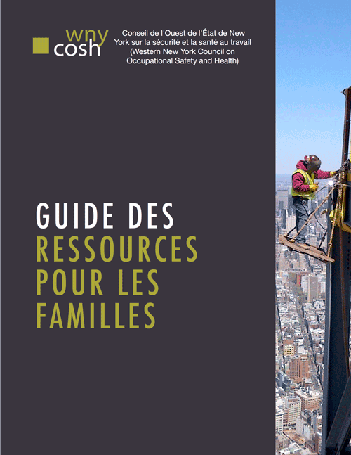 Thumbnail for Family Resource Guide in French