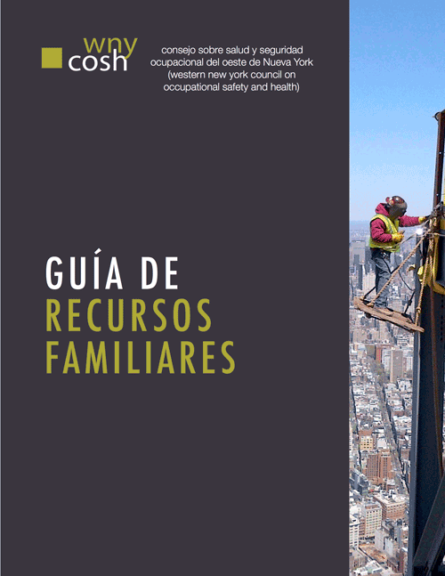 Thumbnail for Family Resource Guide in Spanish