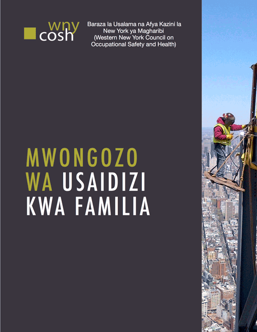 Thumbnail for Family Resource Guide in Swahili