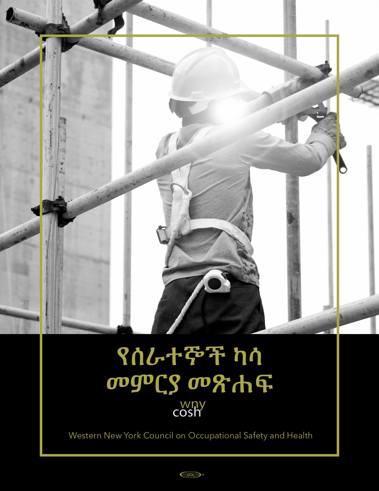 Thumbnail for Worker Compensation Guidebook in Amharic