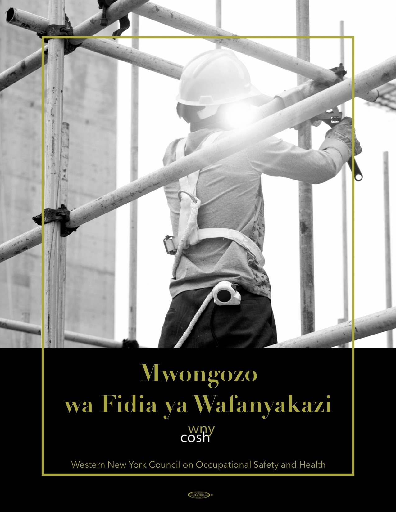Thumbnail for Worker Compensation Guidebook in Swahili
