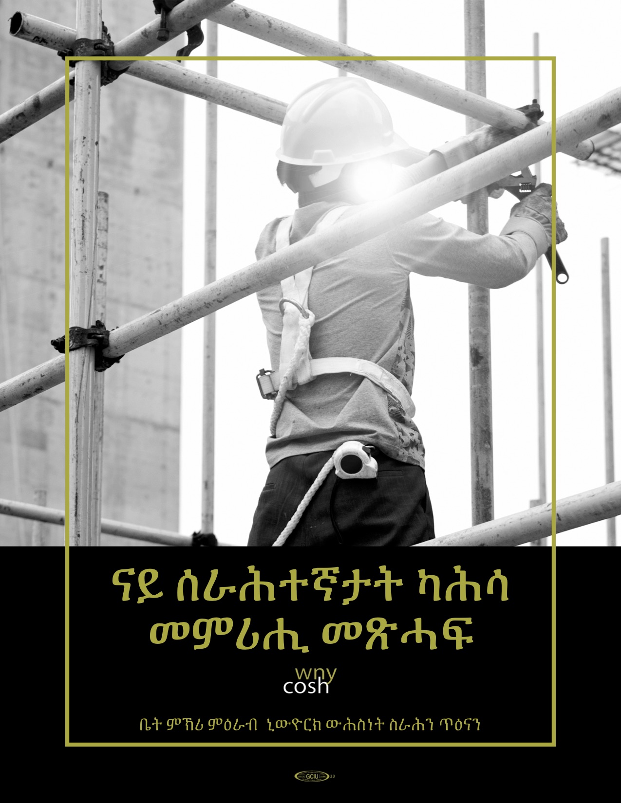 Thumbnail for Worker Compensation Guidebook in Tigrinya