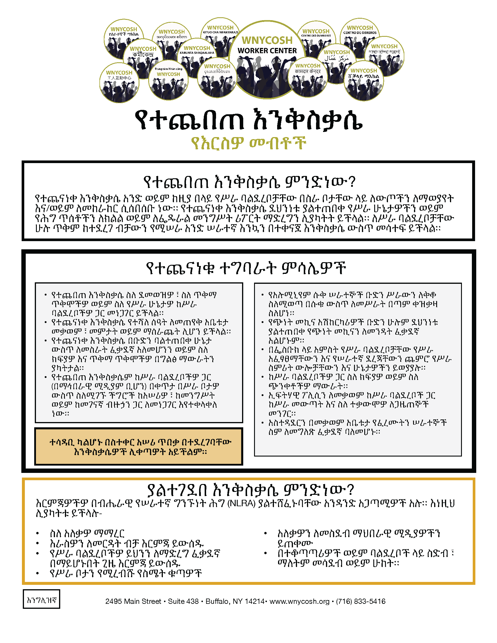Thumbnail for Concerted Activity Factsheet in Amharic