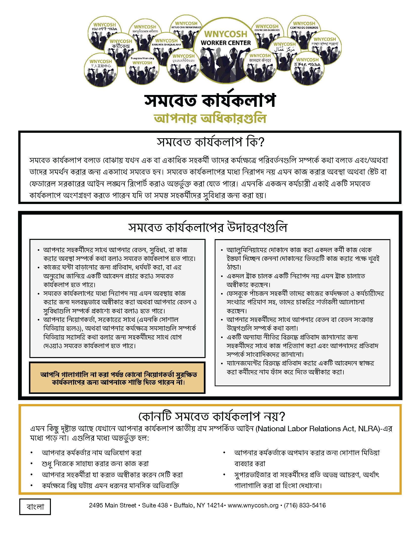 Thumbnail for Concerted Activity Factsheet in Bengali