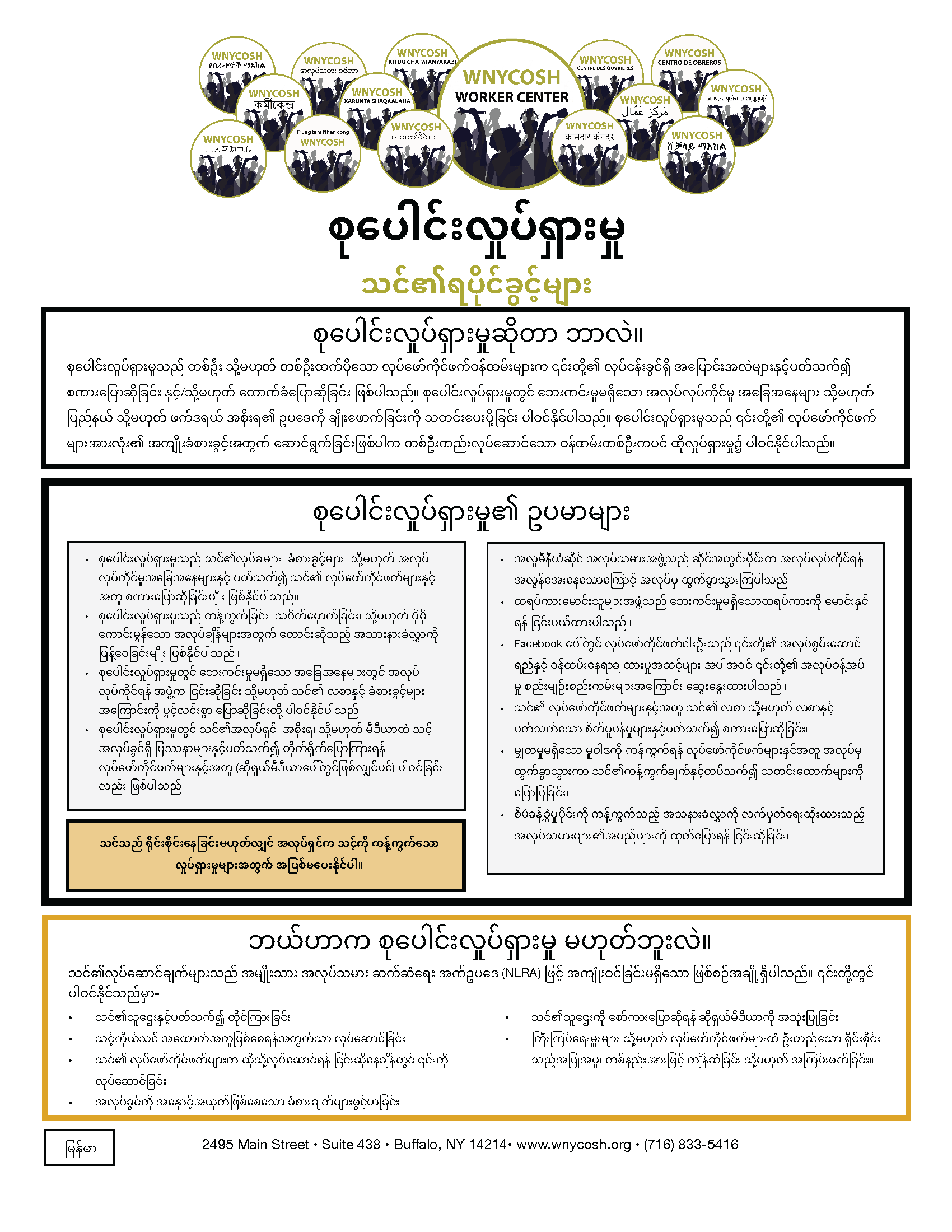Thumbnail for Concerted Activity Factsheet in Burmese