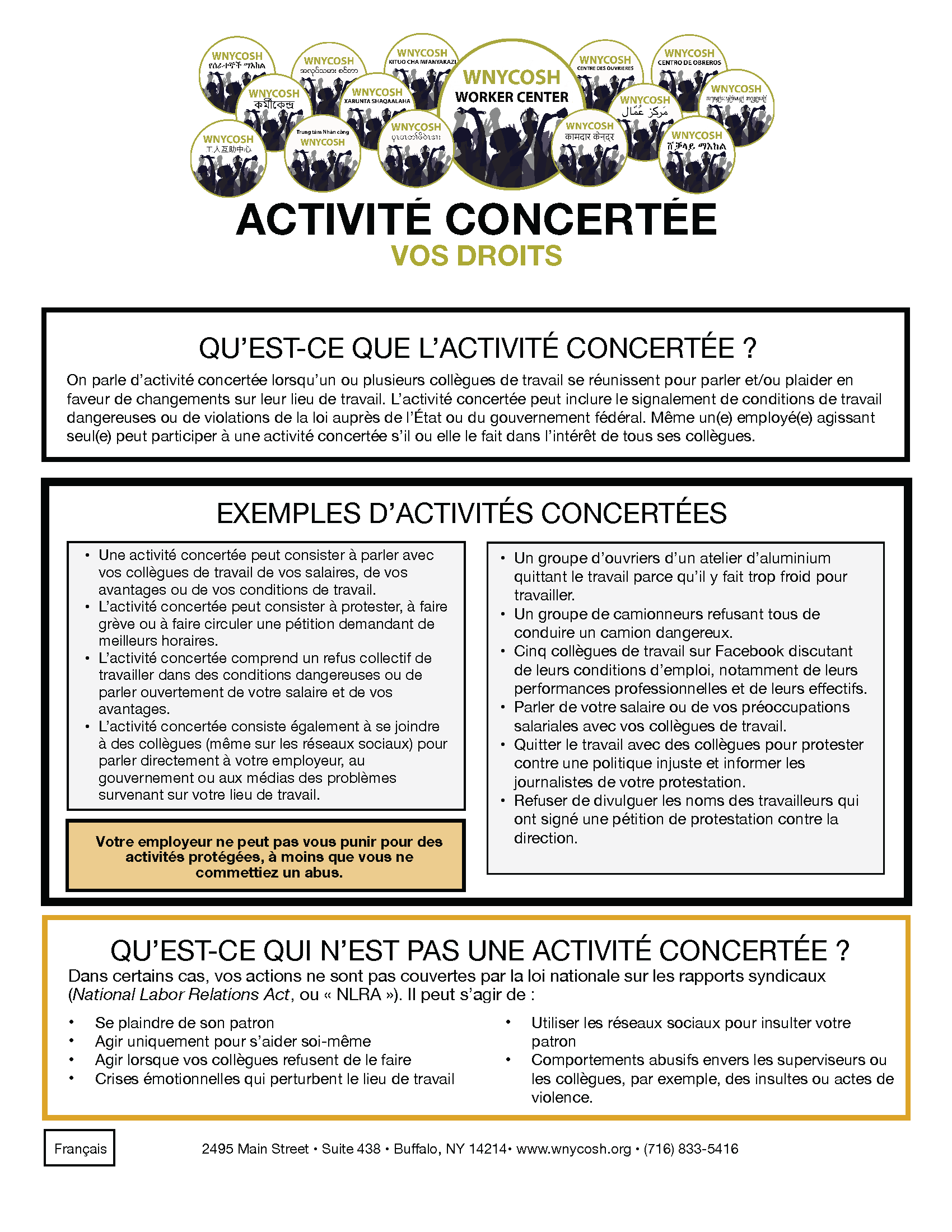 Thumbnail for Concerted Activity Factsheet in French