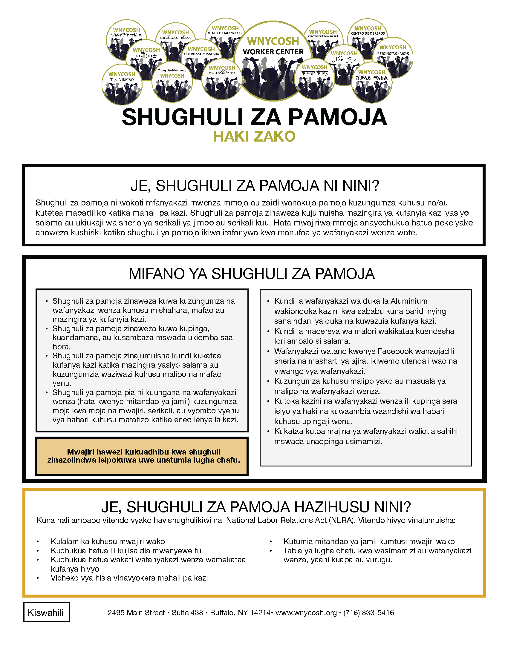 Thumbnail for Concerted Activity Factsheet in Swahili