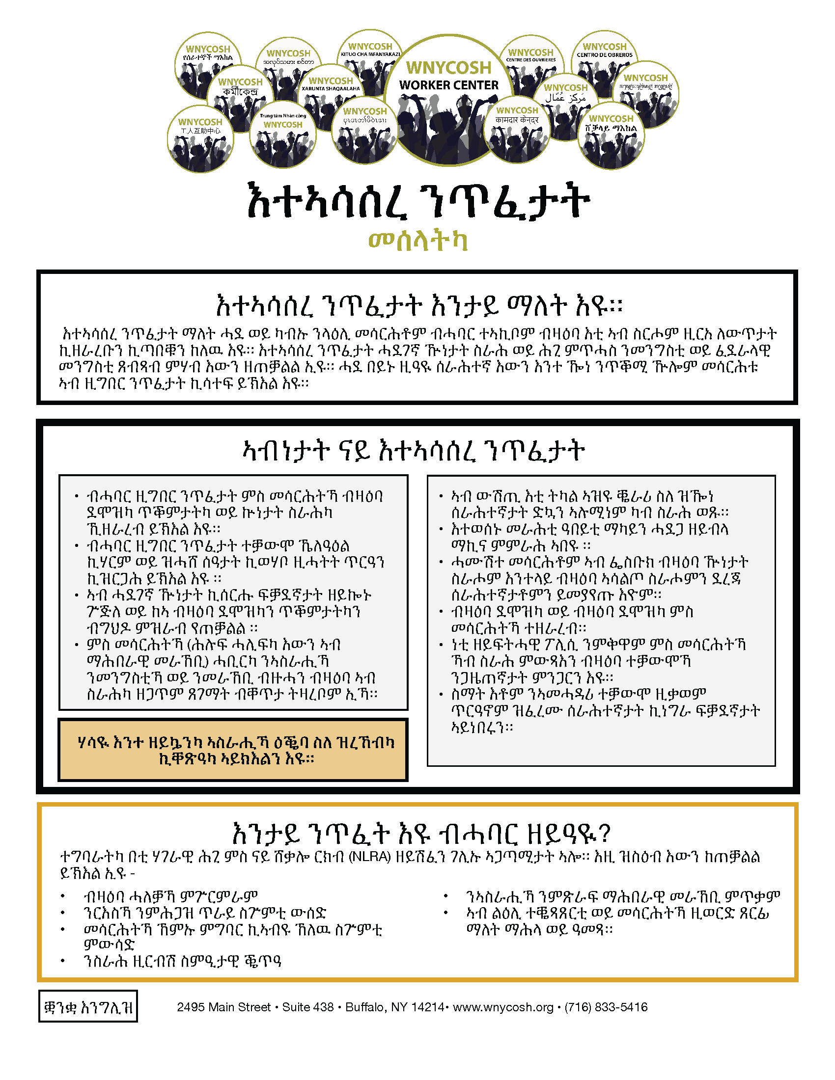 Thumbnail for Concerted Activity Factsheet in Tigrinya