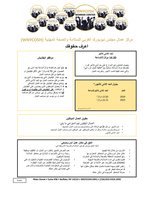 Thumbnail of Know Your Rights flyer in Arabic