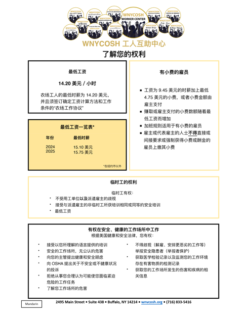 Thumbnail of Know Your Rights flyer in Chinese