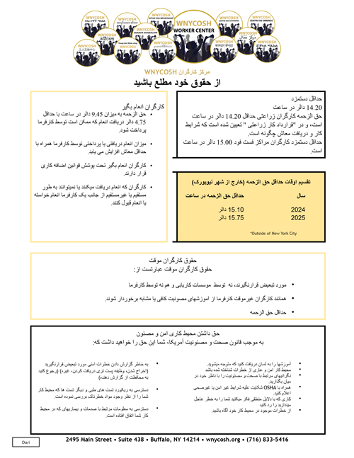 Thumbnail of Know Your Rights flyer in Dari