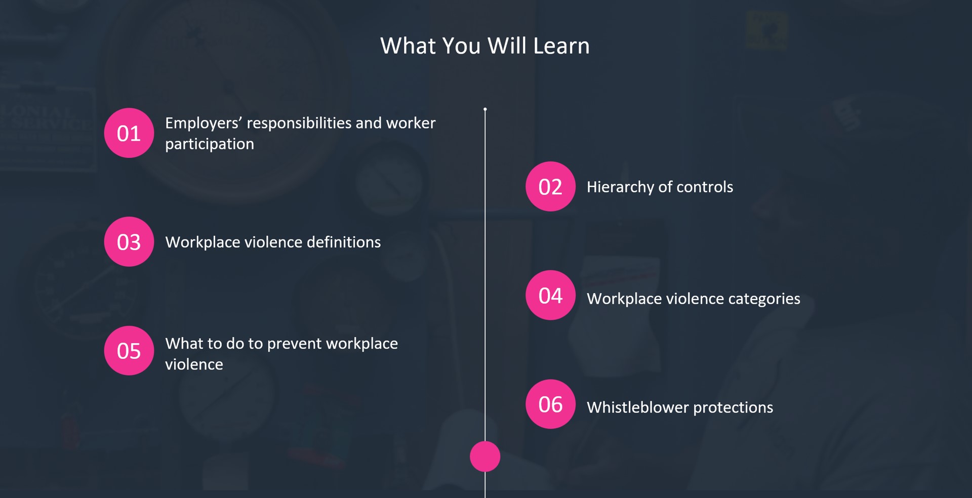 Image entitled "What You Will Learn" with bullet points: Employers’ responsibilities and worker participation; Hierarchy of controls; workplace violence definitions; workplace violence categories; what to do to prevent workplace violence; whistleblower protections