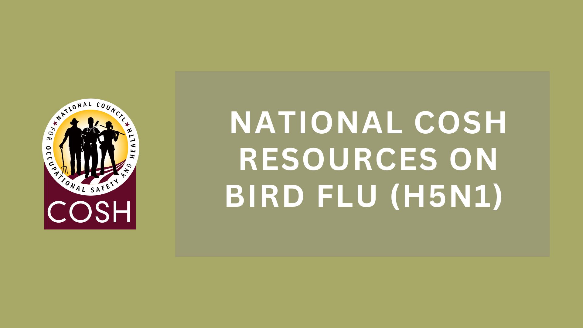 Image with National COSH logo and text reading "National COSH resources on Bird Flue (H5N1)